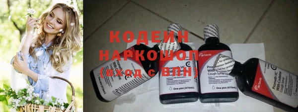 индика Нязепетровск
