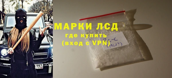 индика Нязепетровск