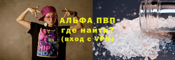 индика Нязепетровск