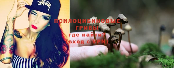 герыч Няндома