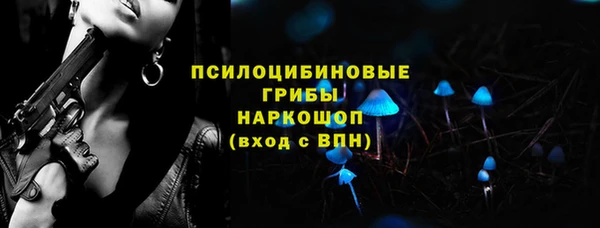 герыч Няндома