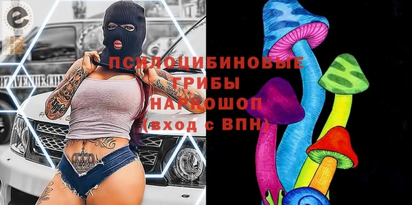 mix Бородино