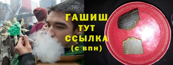 индика Нязепетровск