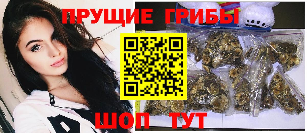 Сатка  Псилоцибиновые грибы прущие грибы  Галлюциногенные грибы Magic Shrooms  Вход с VPN 