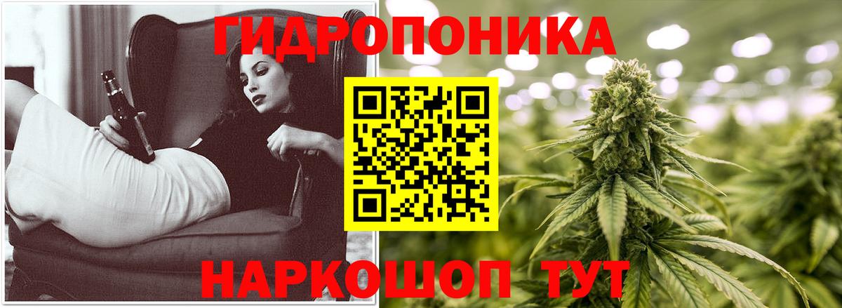 Каннабис планчик  Шишки марихуана тримм  Вход с VPN  Сатка  Канабис сатива 